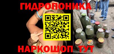 гидра Рыбинск