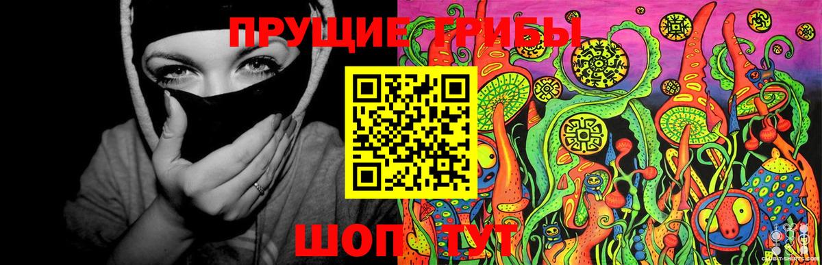 Псилоцибиновые грибы прущие грибы Амурск