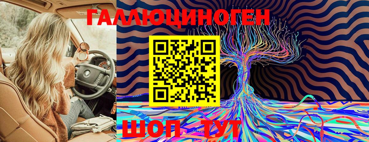 как найти закладки  Псилоцибиновые грибы мухоморы  Вход с VPN  Амурск 